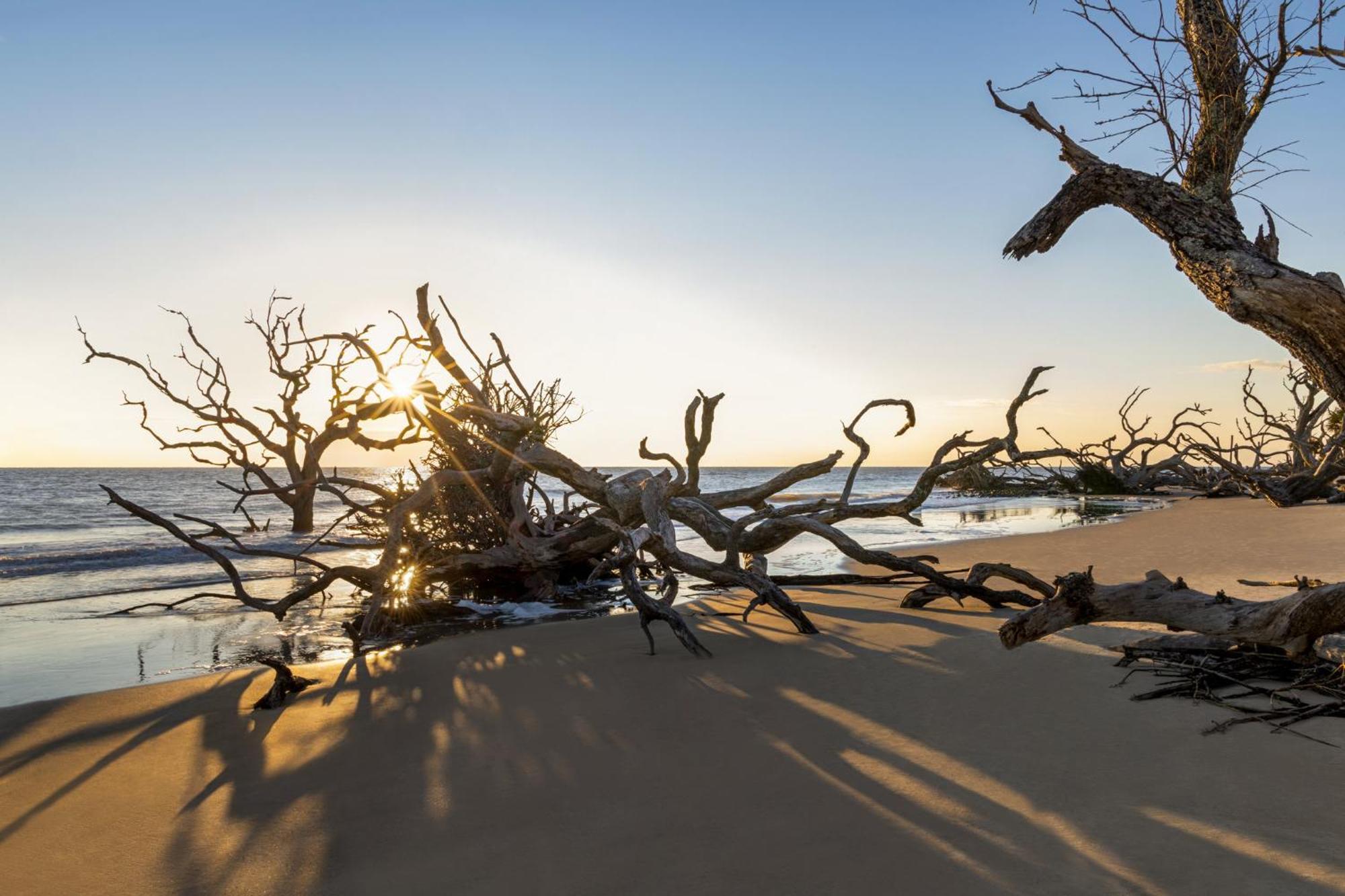 Holiday Inn Resort Jekyll Island By Ihg Bagian luar foto