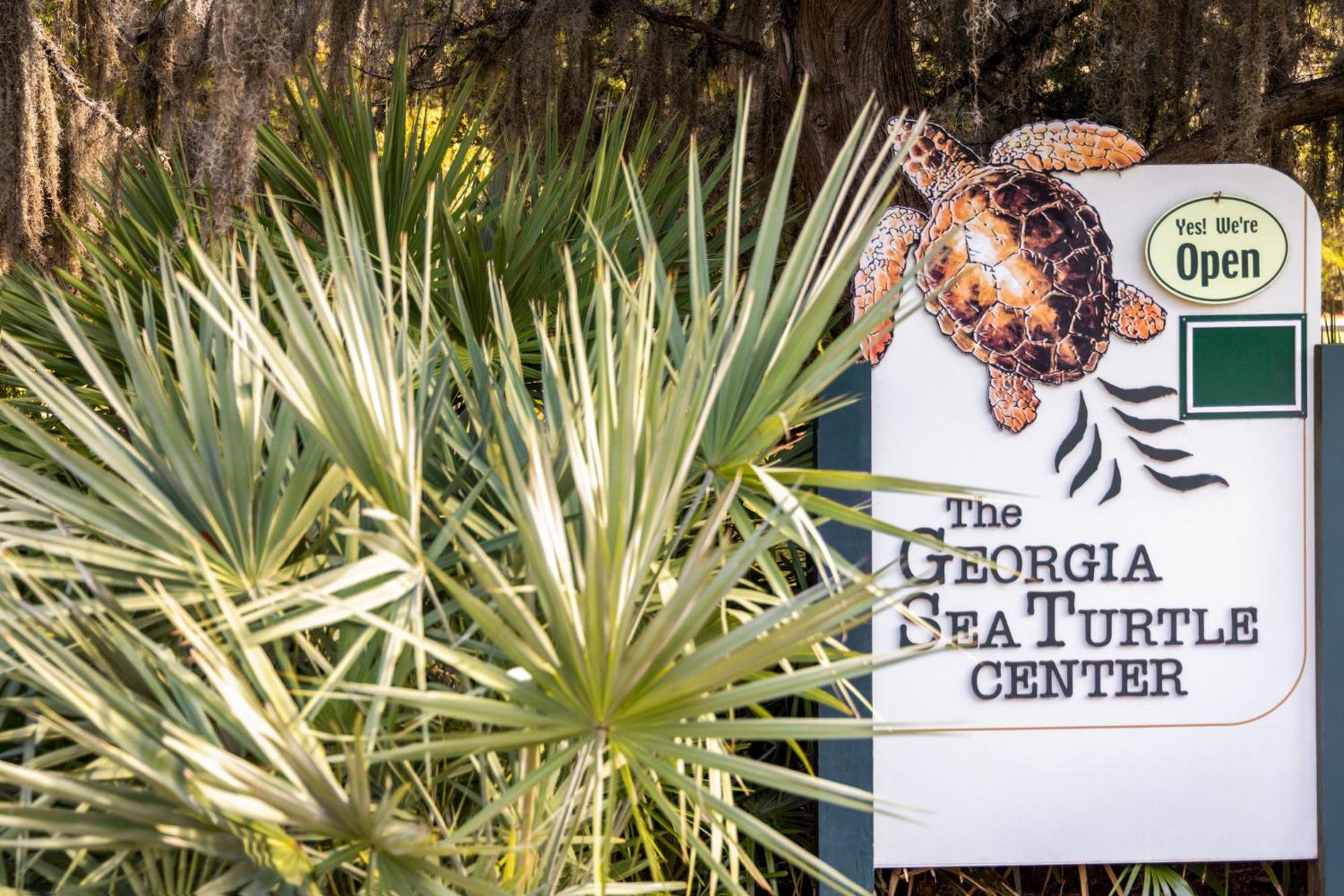 Holiday Inn Resort Jekyll Island By Ihg Bagian luar foto