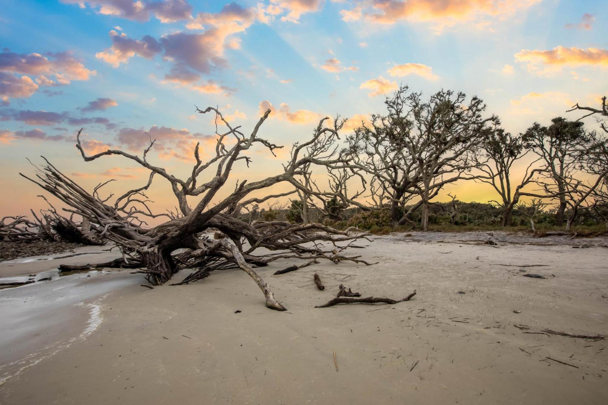 Holiday Inn Resort Jekyll Island By Ihg Bagian luar foto